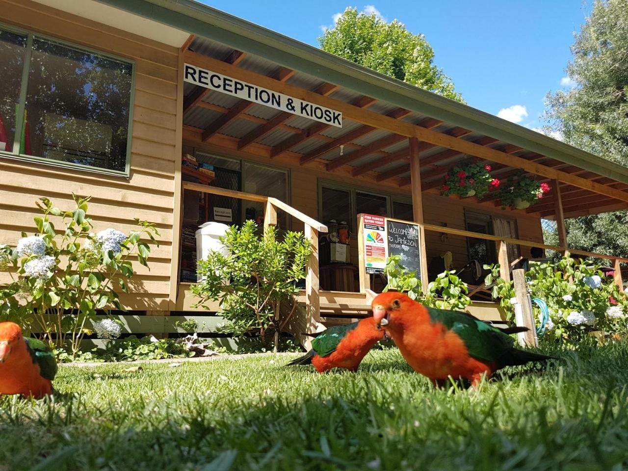 Jamieson Caravan Park Exterior photo